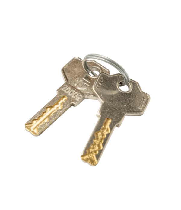 Sleutel 20002 los voor vendingmachines, automaten en andere machines, geschikt als vervangende sleutel voor sloten met sleutelcode 20002 en voor het veilig openen en afsluiten van de automaat tijdens bijvullen, onderhoud en dagelijks beheer.