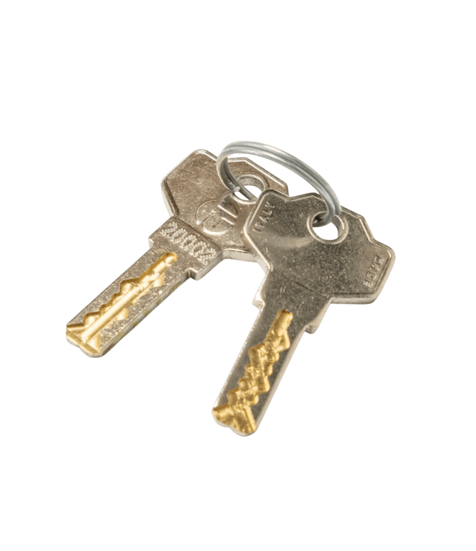 Sleutel 20002 los voor vendingmachines, automaten en andere machines, geschikt als vervangende sleutel voor sloten met sleutelcode 20002 en voor het veilig openen en afsluiten van de automaat tijdens bijvullen, onderhoud en dagelijks beheer.